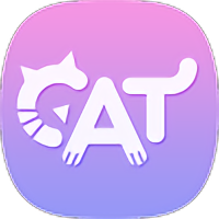 猫咪记单词软件