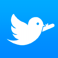 青岛教育e平台app(暂未上线)