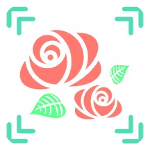 全能拍照识图最新版