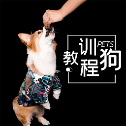 训狗教程大全app