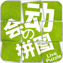 拼来拼趣最新版