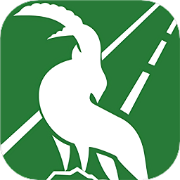 领头羊货主app