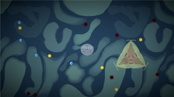 露卡超级细胞游戏下载