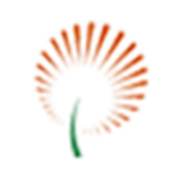 临沂文明实践app