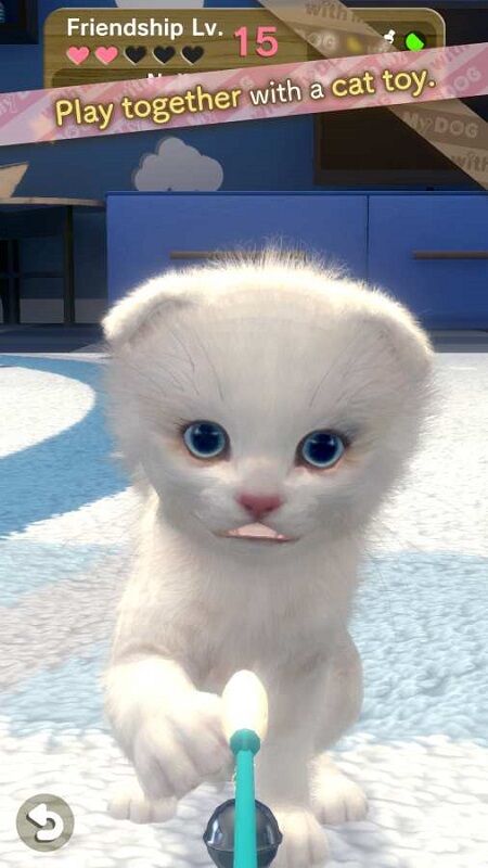 和我的猫在一起手机版