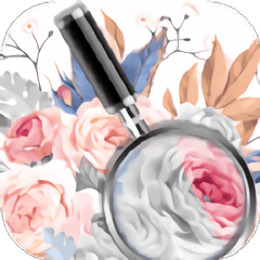 数字解压涂颜色app